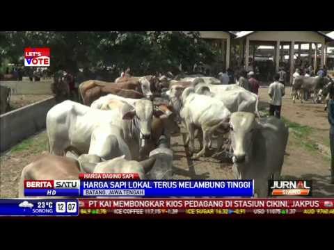 Suplai Sapi Impor Tak Merata, Harga Daging Meroket