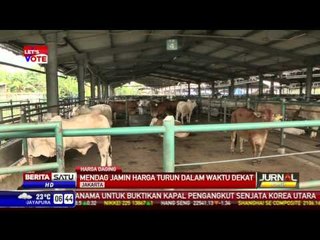 Mendag: Harga Sapi Tinggi Karena Banyak RPH Libur