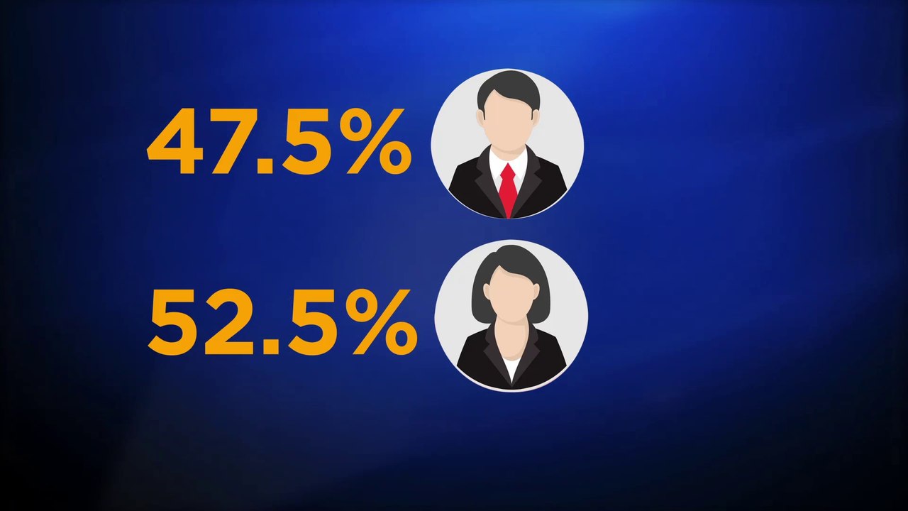 info Graphic The Election Jo