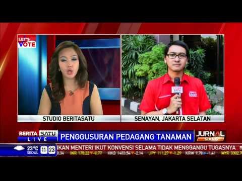 LIVE Penggusuran pedagang Tanaman di Trotoar Kawasan Senayan