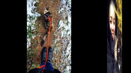 Vídeo: Esta gata tem duas caras e a internet não sabe qual gosta mais