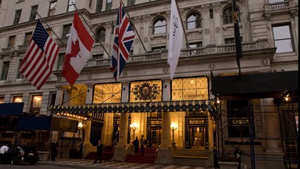 Plaza - Wedding portraits