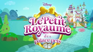 Le Petit Royaume des Palace Pets - Chasse au trésor !-woHWmWNXKoY