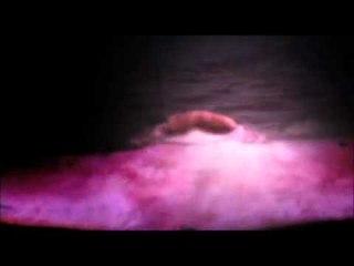 Born to be Wild: Thailand and Africa