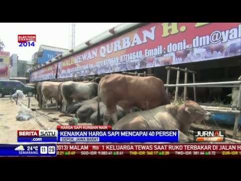 Jelang Idul Adha, Harga Sapi Kian Berat