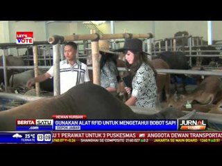 Wah, Para SPG Berparas Manis Jualan Hewan Kurban