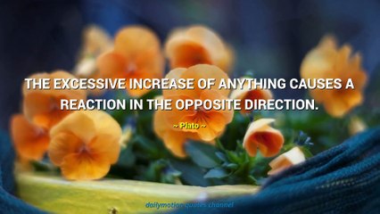 Plato Quotes #4