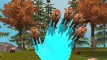3D Animated Lion Animal Finger Family Rhymes For Children | The Animal Finger Family Rhymes