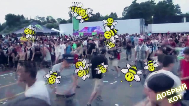 ЛУЧШИЕ ПРИКОЛЫ ДОБРЫЙ КОТ №35 июль 2016