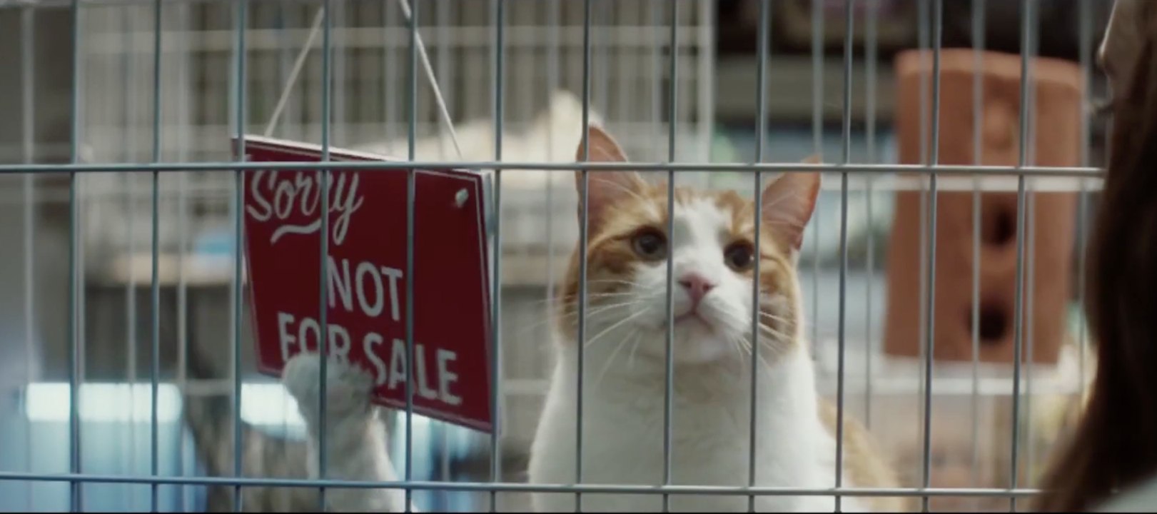 Culture Week by Culture Pub : buzz indien et fausse pub allemande