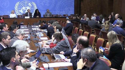 Chypre: les cartes du futur Etat fédéral confiées à l'ONU