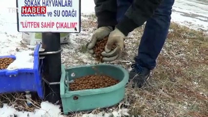 Soğuk havada sokak hayvanları unutulmadı