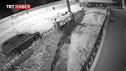 Şehre inen kurdun köpeğe saldırması kamerada