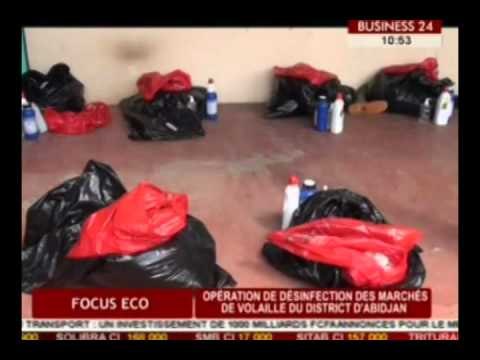 Business 24 / Focus Eco - Operation de desinfection des marches de volaille du district d'Abidjan
