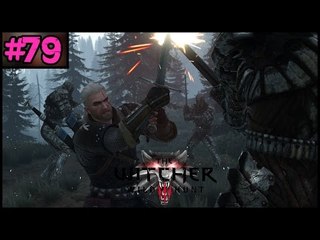 The Witcher 3 Wild Hunt - Part 79 - PC Gameplay Walkthrough - 1080p 60fps