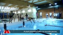 Tapis Rouge LMTV : réouverture de la piscine de Coulaines après rénovation