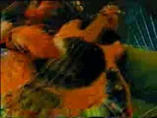 Океан Ельзи