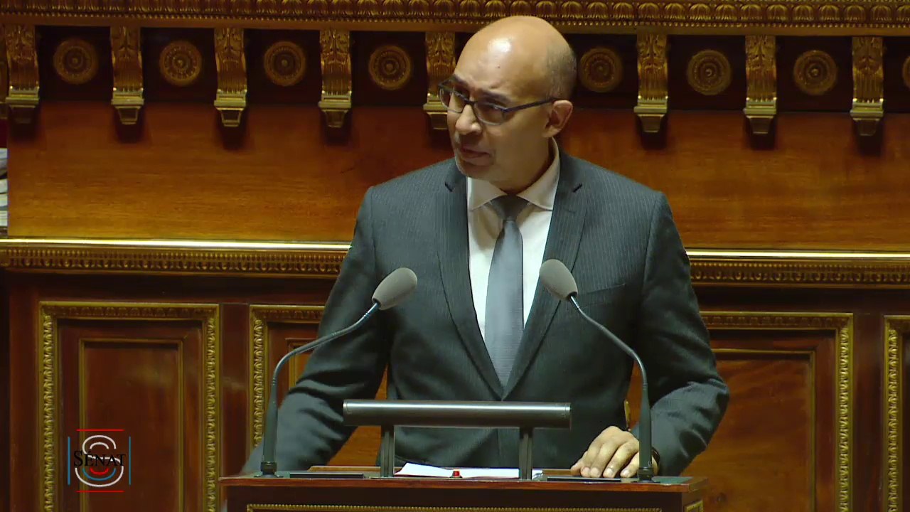 Discours d'Harlem Désir au Sénat sur le fonctionnement de la zone euro