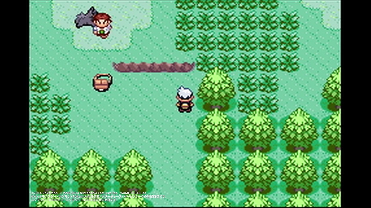 【公式】比べてみよう！（左２）「ポケモンとの出会い編」『ポケットモンスター ルビー・サファイア...