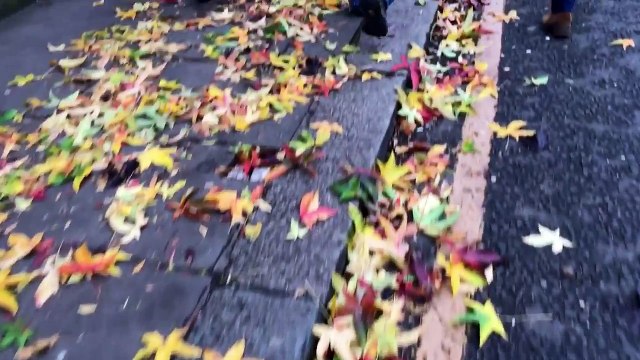 Part 1: Notting Hill, Portobello market