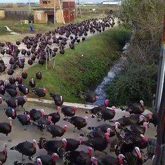 تعامل ادارة واعلام النصر مع جمهورهم