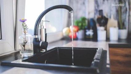 Things You Should Never Put In Your Sink's Garbage Disposal
