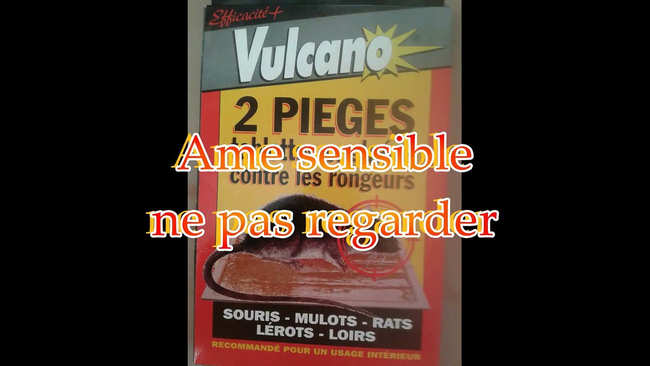 Petite Souris