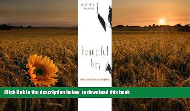 FREE [DOWNLOAD] Beautiful Boy: A Father s Journey through His Son s Meth Addiction David Sheff For