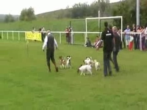 Chablis_: fête de la chasse, de la nature et de la pêche