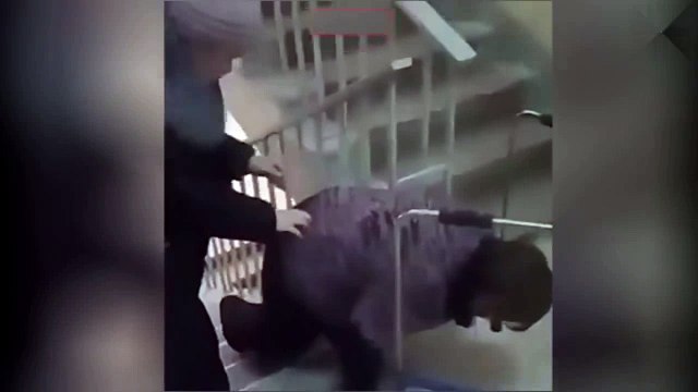 Русский Мир и Здоровье - В Уфе пожилая пациентка на коленях ползла в рентген-кабинет на 5(!!!) этаж!!!