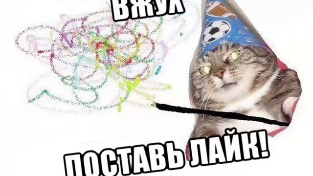 Приколы с котами и кошками | Приколы с животными. Приколы лучшие приколы 2017