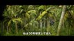 Kong  Skull Island International Trailer  1  Movieclips Trailers(720p)