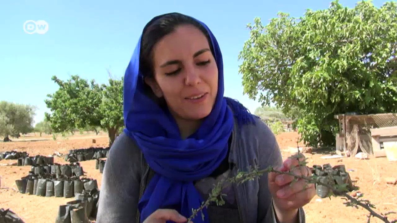 Seedlings of Hope | Eco-at-Africa