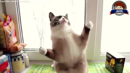 УГАРНЫЕ ПРИКОЛЫ ДО СЛЕЗ 2016 - Новые смешные видео - лучший тест на психик