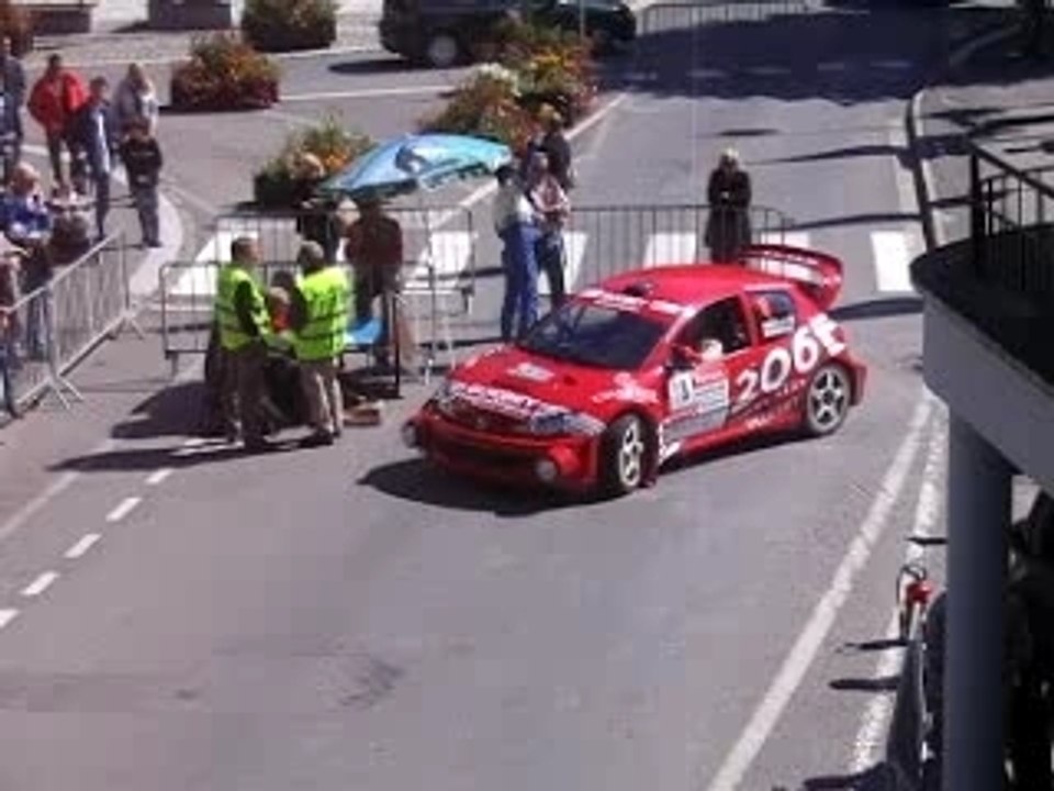 Peugeot 206 WRC (Rallye du Mont Blanc 2007)
