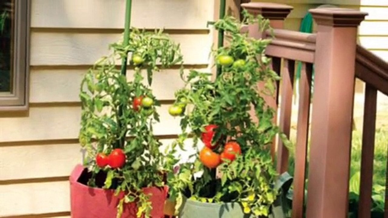 Grow Bag Garden Systems