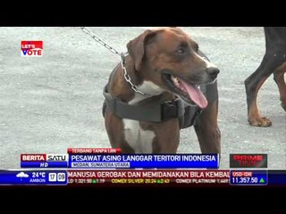 TNI AU Turunkan Paksa Pesawat Berawak Tunggal