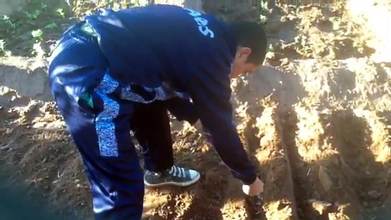 L'ensemencement dans le jardin potager de l'association Ourika Tadamoune