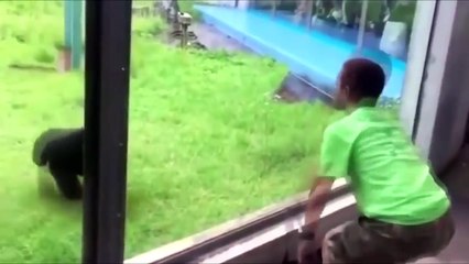 ЛУЧШИЕ ПРИКОЛЫ 2016 #3  Я ПЛАКАЛ