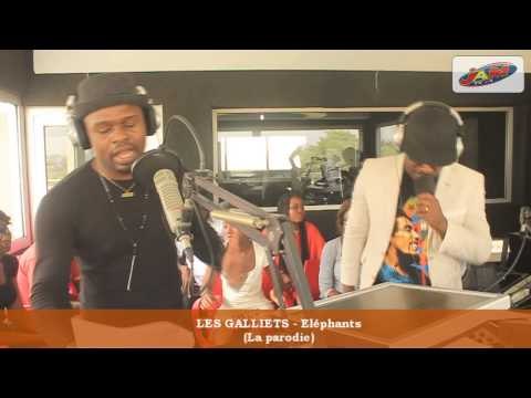 LES GALLIETS LA PARODIE DE LA TRIBU JAM