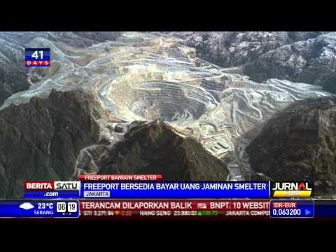 Freeport Bakal Bangun Smelter di Gresik