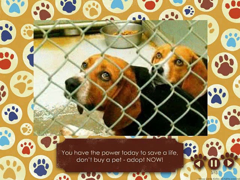 Adopt-A-Pet Campaign