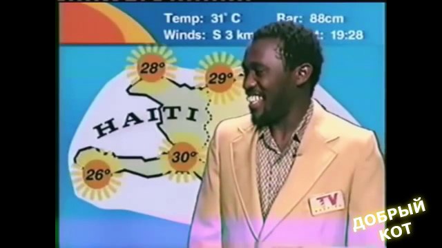 ЛУЧШИЕ ПРИКОЛЫ ДОБРЫЙ КОТ № 24