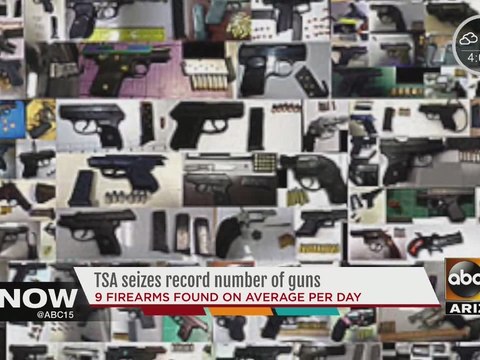TSA seizes record number of guns