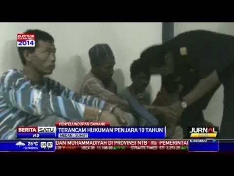 Bea Cukai Belawan gagalkan Penyelundupan 12 Ton Bawang Merah