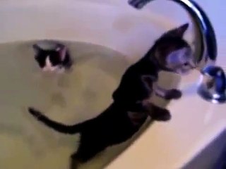 飯田祐巳の動画 - Dailymotion