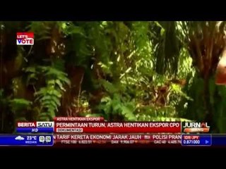 Permintaan Turun, Astra Hentikan Ekspor CPO