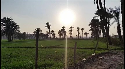 شاهد الطعام الذي حرمه الله وللأسف المسلمين يأكلون منه كل يوم ! ارجوك ابتعد عنه ..هام جدا