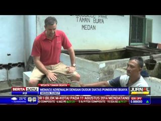 Liburan Seru dan Menantang dengan Naik Punggung Buaya