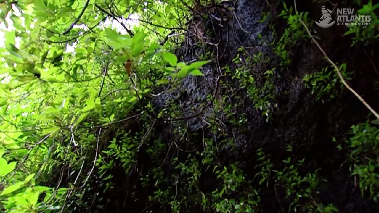 Deserts: Futures thermometers (part 2/5)